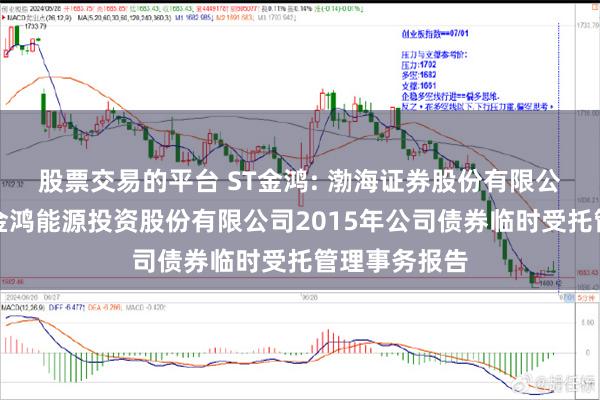 股票交易的平台 ST金鸿: 渤海证券股份有限公司关于中油金鸿能源投资股份有限公司2015年公司债券临时受托管理事务报告