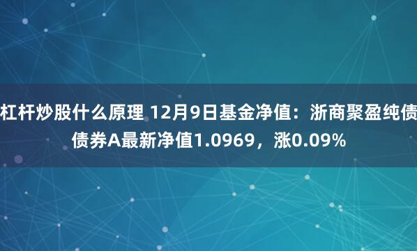 杠杆炒股什么原理 12月9日基金净值：浙商聚盈纯债债券A最新净值1.0969，涨0.09%