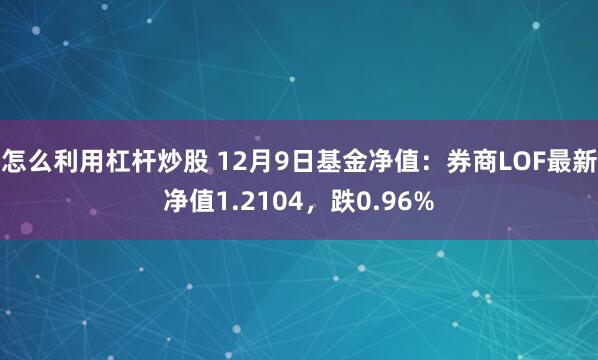 怎么利用杠杆炒股 12月9日基金净值：券商LOF最新净值1.2104，跌0.96%