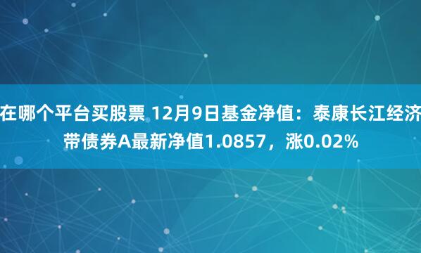 在哪个平台买股票 12月9日基金净值：泰康长江经济带债券A最新净值1.0857，涨0.02%