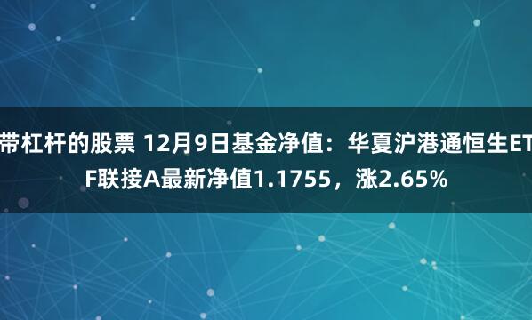 带杠杆的股票 12月9日基金净值：华夏沪港通恒生ETF联接A最新净值1.1755，涨2.65%